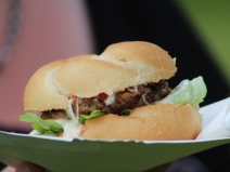 20180120040018_IMG_1099_1