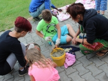 20180224233746_IMG_2429