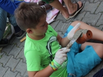 20180224233841_IMG_2431