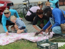 20180224233928_IMG_2434