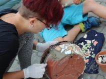 20180225000524_IMG_2441