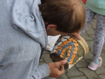 20180225010620_IMG_2457