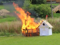 20180420063551_IMG_3909