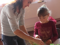 20180618043848_IMG_6040