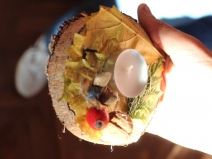 20180618051216_IMG_6075