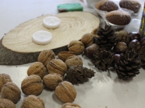 20180618063613_IMG_6141